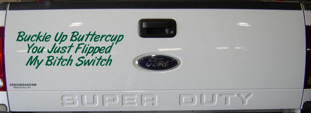 Buckle Up Buttercup You Just Flipped My Bitch Switch Funny Car or Truck Window Decal Sticker (Dark Green)