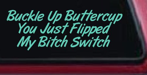 Buckle Up Buttercup You Just Flipped My Bitch Switch Funny Car or Truck Window Decal Sticker (Mint)