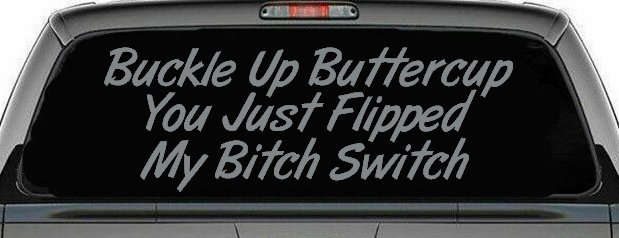 Buckle Up Buttercup You Just Flipped My Bitch Switch Funny Car or Truck Window Decal Sticker