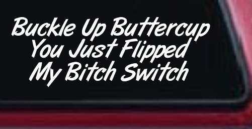 Buckle Up Buttercup You Just Flipped My Bitch Switch Funny Car or Truck Window Decal Sticker