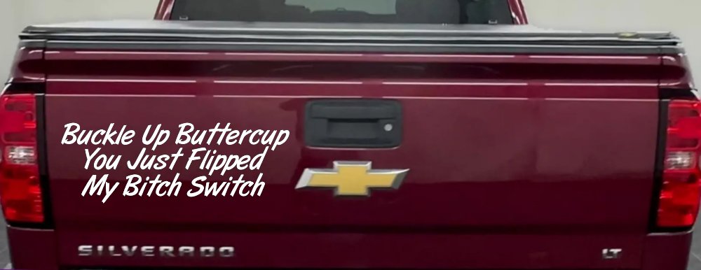 Buckle Up Buttercup You Just Flipped My Bitch Switch Funny Car or Truck Window Decal Sticker (White)