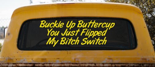 Buckle Up Buttercup You Just Flipped My Bitch Switch Funny Car or Truck Window Decal Sticker