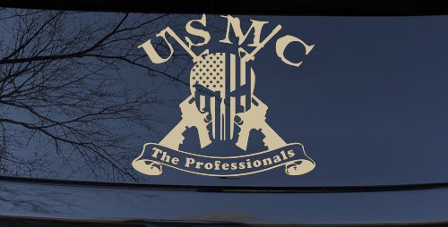USMC United States Marine Corps The Professionals Punisher Skull US Flag Crossed AR15 Guns Military Car or Truck Window Decal Sticker