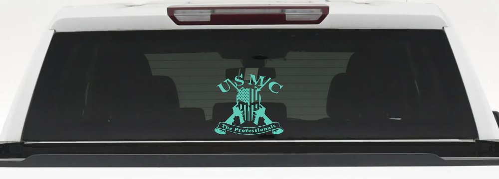 USMC United States Marine Corps The Professionals Punisher Skull US Flag Crossed AR15 Guns Military Car or Truck Window Decal Sticker (Mint)
