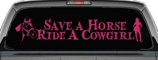 Save a Horse Ride a Cowgirl Western Rodeo Farm Ranch Car or Truck Window Decal Sticker (Hot Pink)