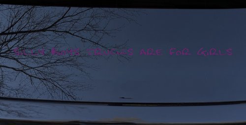 Silly Boys Trucks are for Girls Car or Truck Window Decal Sticker (Violet)