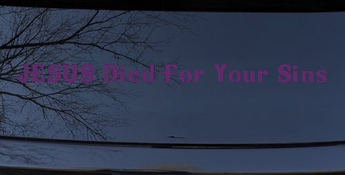 JESUS Died For Your Sins Christian Car or Truck Window Decal Sticker (Violet)