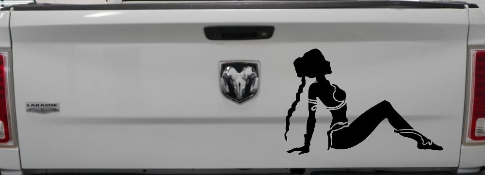 Princess Leia Car or Truck Window Decal Sticker