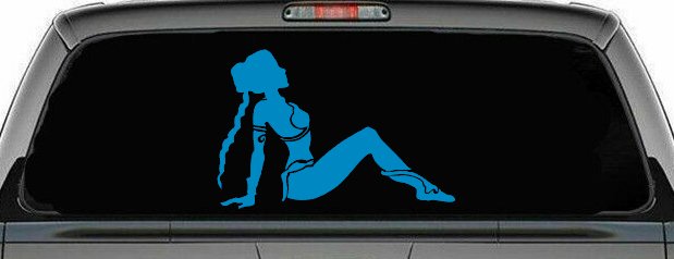 Princess Leia Car or Truck Window Decal Sticker