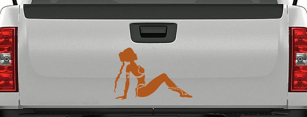 Princess Leia Car or Truck Window Decal Sticker