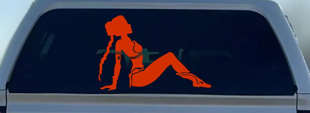 Princess Leia Car or Truck Window Decal Sticker