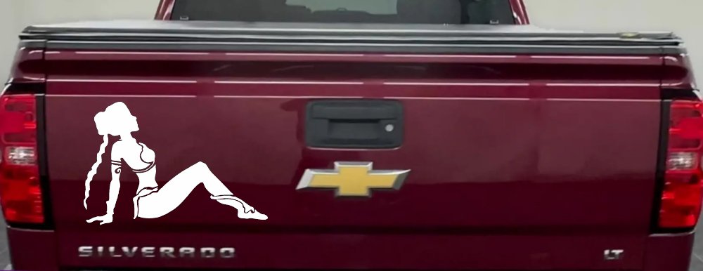 Princess Leia Car or Truck Window Decal Sticker