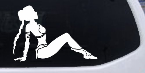 Princess Leia Car or Truck Window Decal Sticker