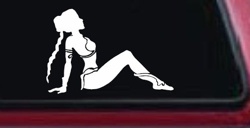 Princess Leia Car or Truck Window Decal Sticker (White)
