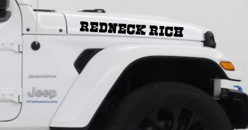 REDNECK RICH Country Car or Truck Window Decal Sticker (Black)