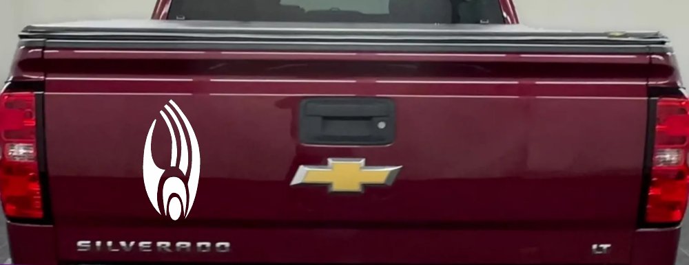 Star Trek Borg Insignia Logo Sci Fi Car or Truck Window Decal Sticker