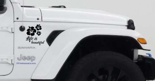 Hibiscus Flower Life is Beautiful Flowers Car or Truck Window Decal Sticker (Black)