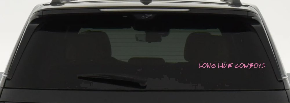 LONG LIVE COWBOYS Western Rodeo Farm Ranch Car or Truck Window Vinyl Decal Sticker (Pink)