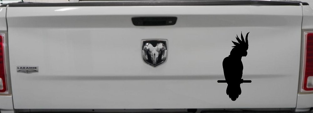 Cockatoo Bird Car or Truck Window Decal Sticker