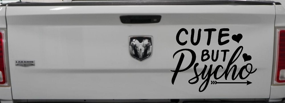 Cute But Psycho Hearts and Arrow Funny Car or Truck Window Decal Sticker