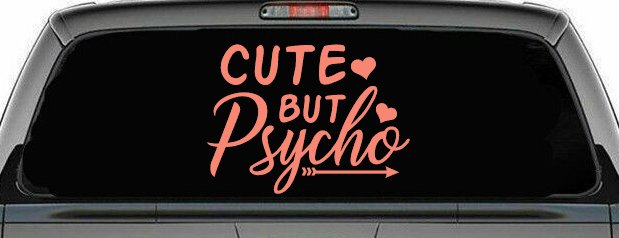 Cute But Psycho Hearts and Arrow Funny Car or Truck Window Decal Sticker (Coral)