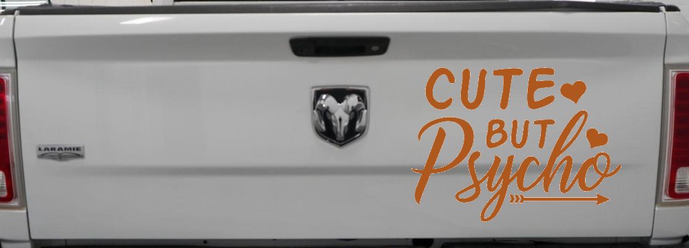 Cute But Psycho Hearts and Arrow Funny Car or Truck Window Decal Sticker (Nut Brown)