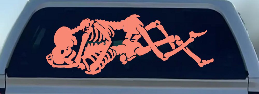 Skeleton Love Skulls Car or Truck Window Decal Sticker (Coral)