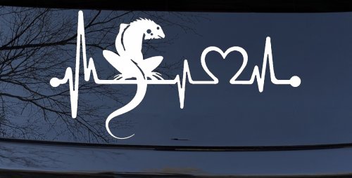 Iguana Lizard Heartbeat Car or Truck Window Vinyl Decal Sticker (White)