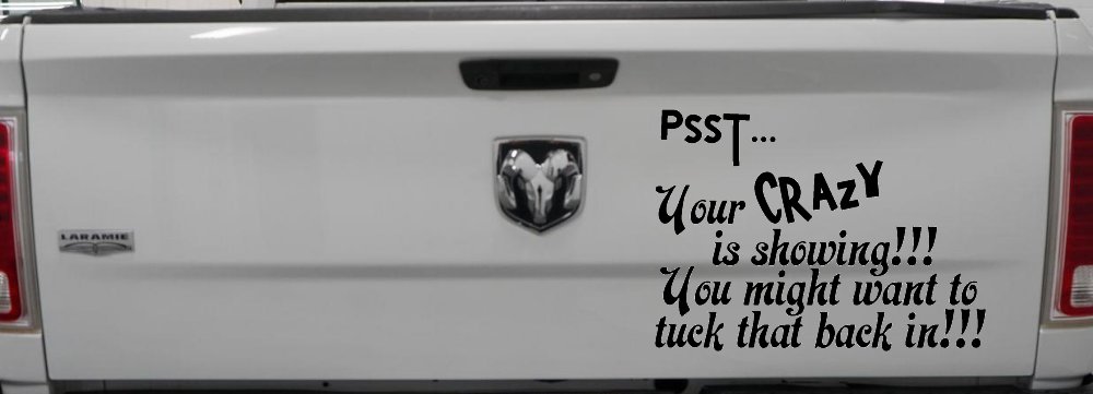 Your Crazy is Showing Funny Car or Truck Window Decal Sticker (Black)