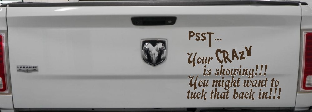 Your Crazy is Showing Funny Car or Truck Window Decal Sticker (Brown)