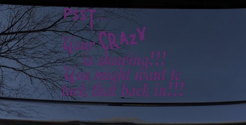 Your Crazy is Showing Funny Car or Truck Window Vinyl Decal Sticker (Violet)