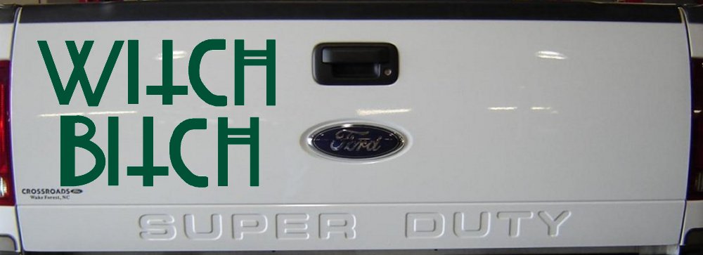 Witch Bitch Funny Car or Truck Window Decal Sticker (Dark Green)