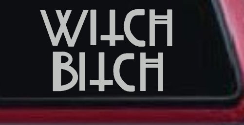 Witch Bitch Funny Car or Truck Window Decal Sticker (Light Gray)