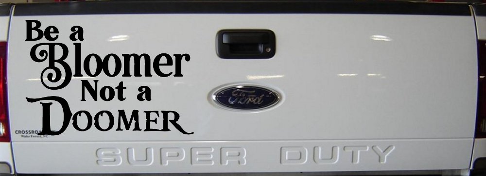 Be A Bloomer Not A Doomer Motivational Words Car or Truck Window Decal Sticker (Black)