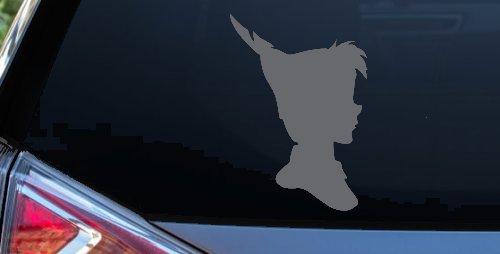 Peter Pan Cartoons Car or Truck Window Decal Sticker