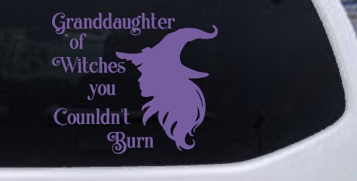 Granddaughter of Witches You Couldnt Burn Gothic Halloween Car or Truck Window Decal Sticker (Purple)