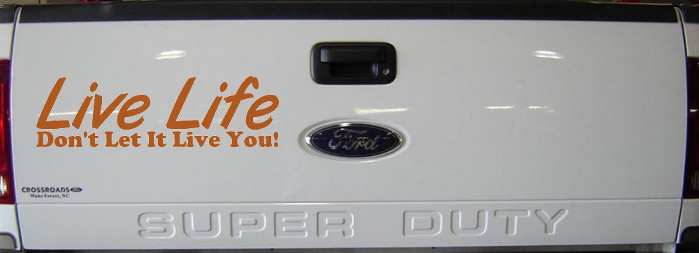 Live Life Don't Let It Live You Inspirational Car or Truck Window Decal Sticker (Nut Brown)