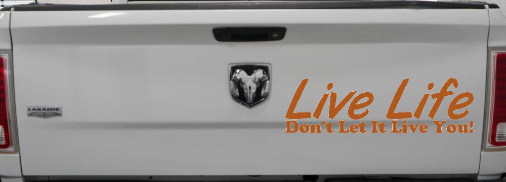 Live Life Don't Let It Live You Inspirational Car or Truck Window Vinyl Decal Sticker (Nut Brown)