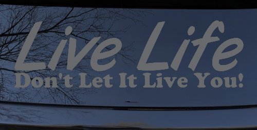 Live Life Don't Let It Live You Inspirational Car or Truck Window Vinyl Decal Sticker (Silver)