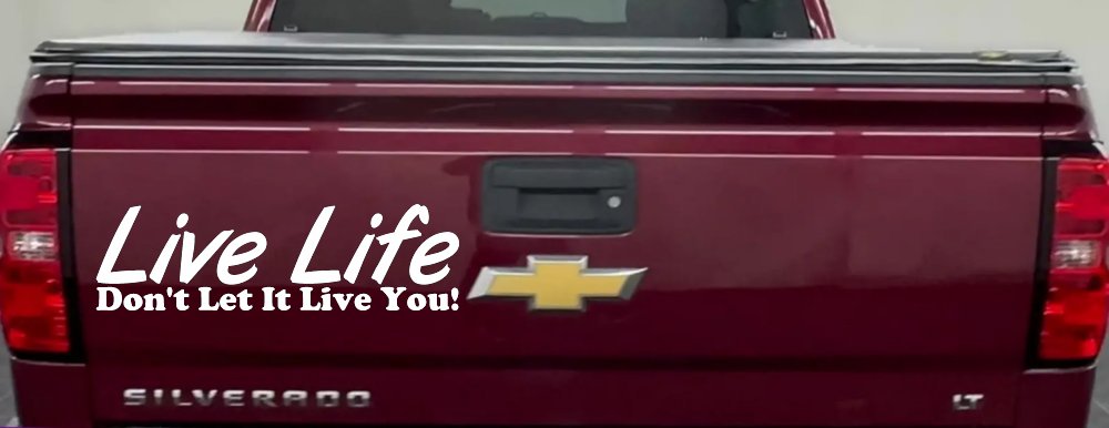 Live Life Don't Let It Live You Inspirational Car or Truck Window Vinyl Decal Sticker (White)