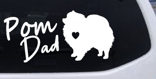 Pomeranian Pom Dad Dog Car or Truck Window Decal Sticker (White)