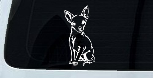 Chihuahua dog Car or Truck Window Decal Sticker (White)