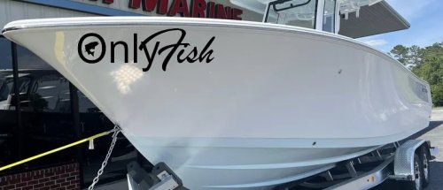 Only Fish Funny Fishing Car or Truck Window Decal Sticker