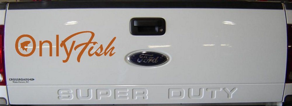 Only Fish Funny Fishing Car or Truck Window Decal Sticker