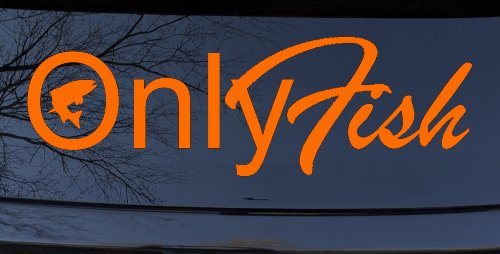 Only Fish Funny Fishing Car or Truck Window Decal Sticker