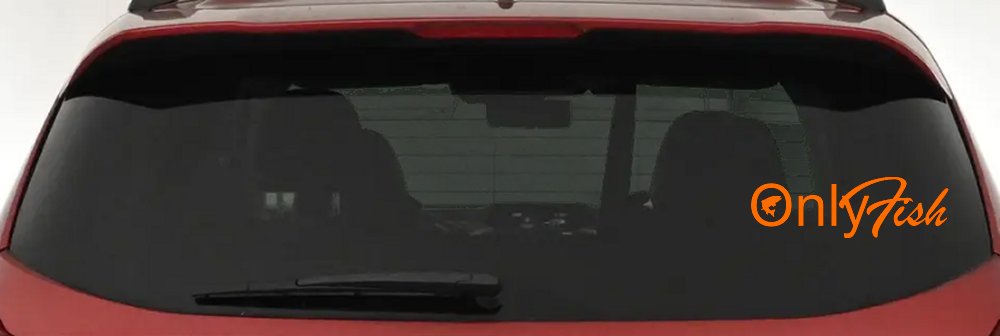 Only Fish Funny Fishing Car or Truck Window Decal Sticker