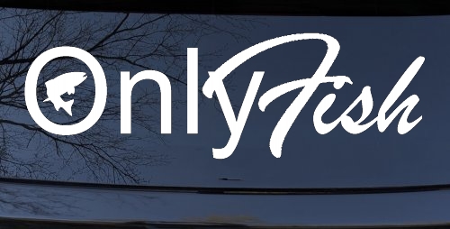 Only Fish Funny Fishing Car or Truck Window Decal Sticker
