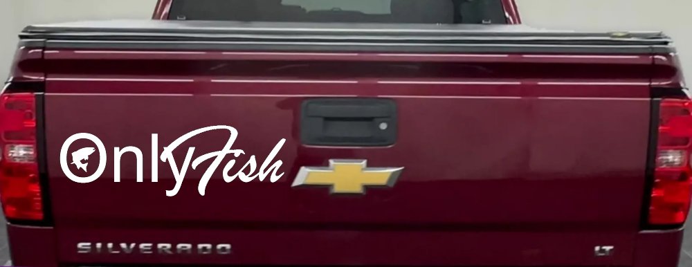 Only Fish Funny Fishing Car or Truck Window Decal Sticker