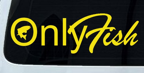 Only Fish Funny Fishing Car or Truck Window Decal Sticker