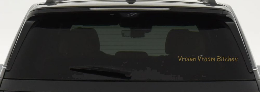 Vroom Vroom Bitches Funny Car or Truck Window Vinyl Decal Sticker (Gold)